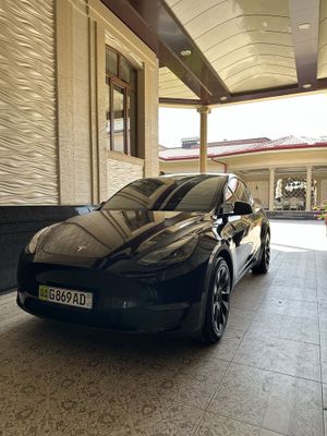 Tesla Model Y 2 ta matorli