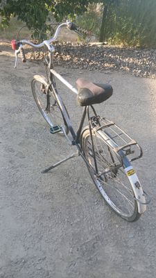 Gazelli