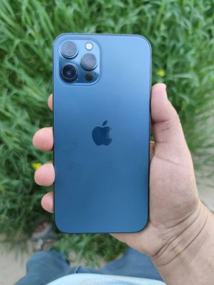 iPhone 12 pro max Full 79% radnoy aybi yoq