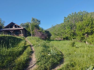 Участка для дачи