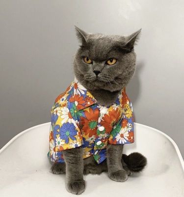 Рубашка для кошек