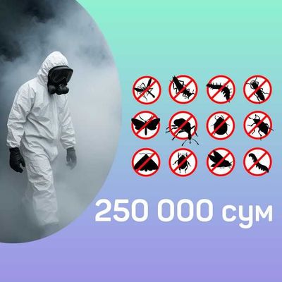 Быстрая dezinfeksiya | уничтожение змей, klopa va sichqon kalamush