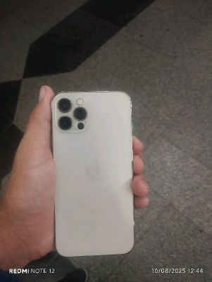 iPhone 12 pro