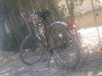 VELIK COTILADI OLINGLAR