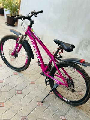 Velik razmer 24 razmer b/y