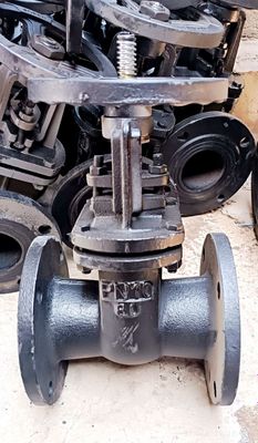 Задвижка чугун 30ч6бр Zadvijka chugun Dn 100