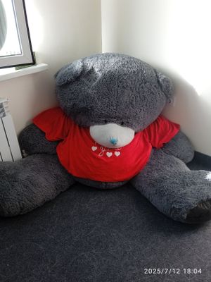 Teddy ayiqchasi.