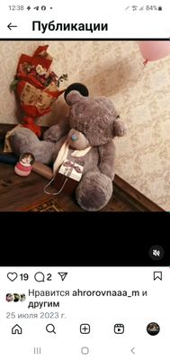 teddy