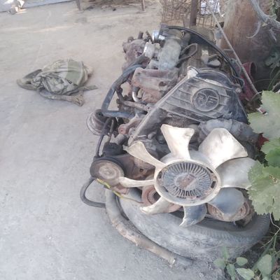 Vort mato'r sotilade kampelek mazga karopkase bor xolade yaxshe kelesh