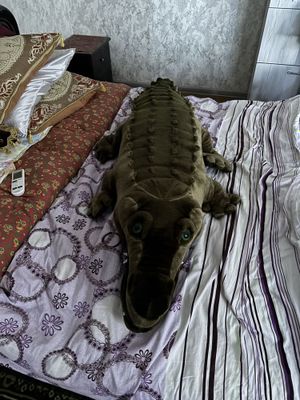 Продам крокодила рост 170см