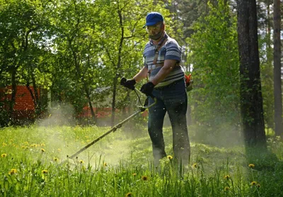 Servis landshaftnoy dizayn