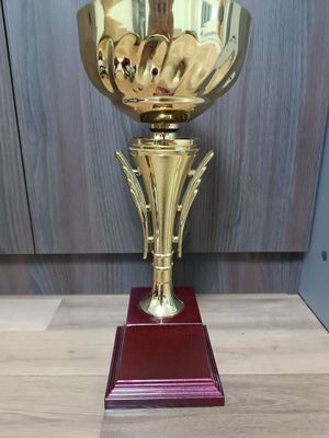 Кубок спортивный