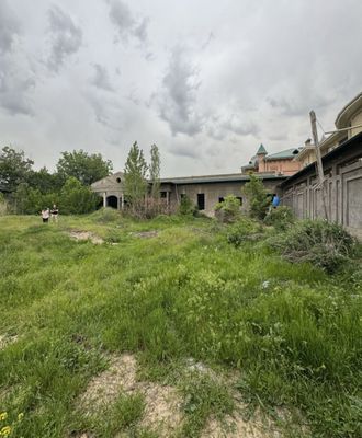 Срочна прадаёция дурман 36 сотих евро каропка