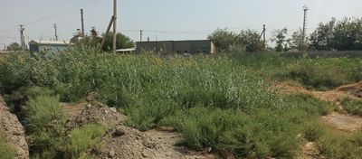 Бино ер участкаси билан бирга сотилади