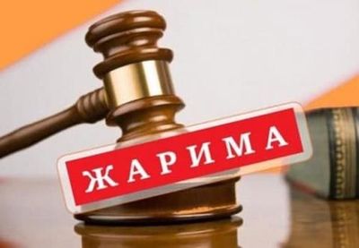 YPX, GAI jarimalari bo’yicha ADVOKATLIK xizmati