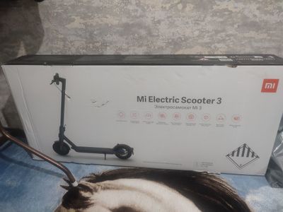 Elektroni samakat yangi