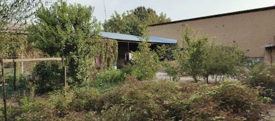 Uchastka sotiladi srochno