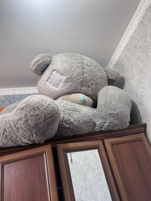 Большая мишка Тэдди