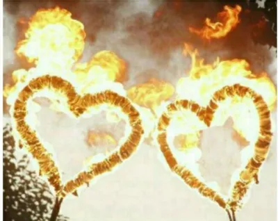 Mashallar Sentr ijaraga beramiz