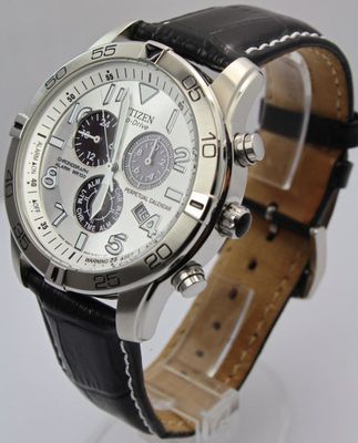 Citizen Eco Drive Perpetual Calendar E820
