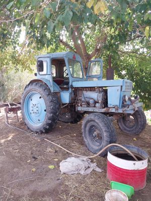 T 40 sotiladi yurib turgan