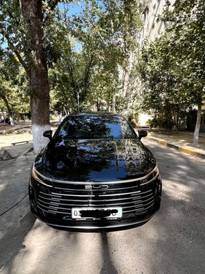 BYD Chazor 2 pozitsa Gibrid