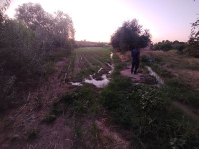 Uchastka sotiladi