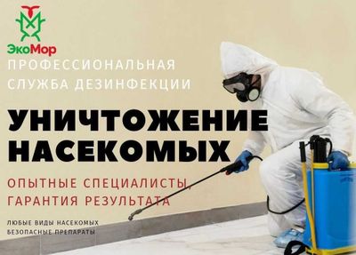 Dezinfeksiya klopa klapa tarakan Уничтожение тараканов, клопов и мышей