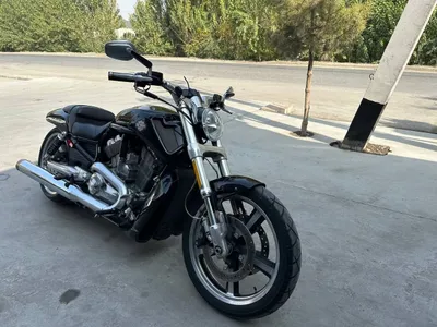 Harley-davidson v rod sotiladi