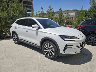 BYD чемпион 110 тали