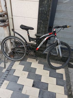 Kattalar va kichiklar uchun yahshi velospeed