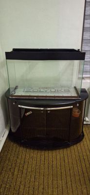 Akvarium sotiladi holati yaxshi suv qoyvormidi