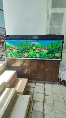 Продажа аквариума