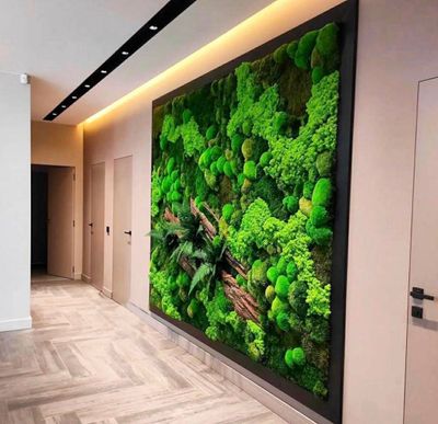 Decor rasimlar Uy,ofislar uchun tabiy gullar