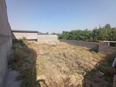 Dacha uchun bo'sh yer maydoni sotiladi