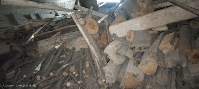 Oʻtin bor arzonga beramiz