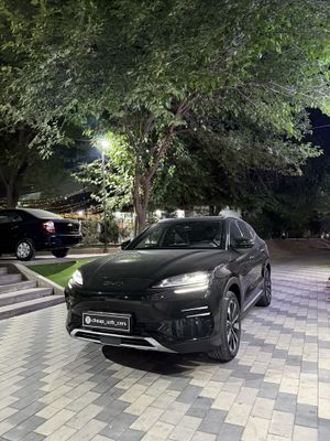Byd chempion reystailng 2024
