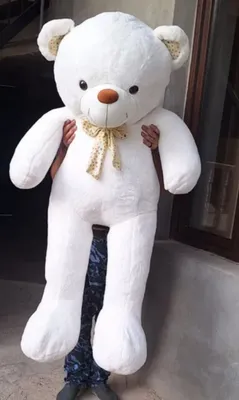 Teddy  Kotta Ayiq