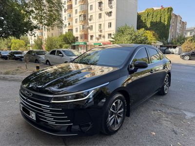 Byd chazor sotiladi 2024
