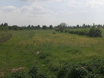 Ер ижарага берилади дехкончилик учун