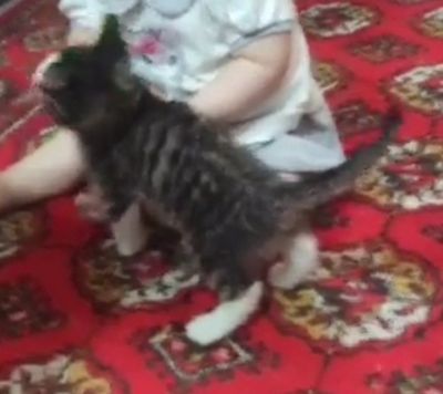 Отдам даром в хорошие и любящие ручки.