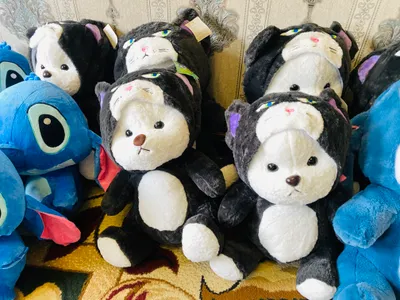 Ayiqcha kapishonka mushik myaxkiy igrushka stich