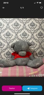 Teddy ayiq