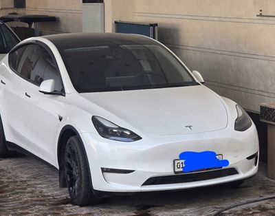 Tesla Model Y long range evropa