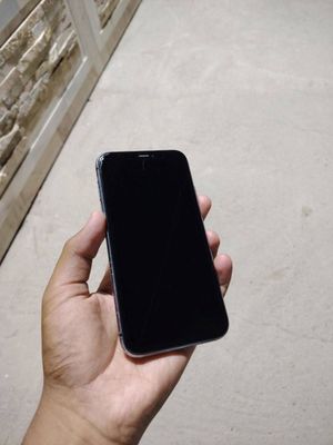 Iphone 11 srochno