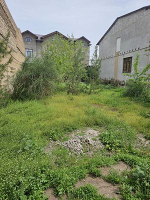 Ер сотлади 2 сотих