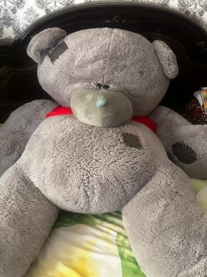 yengi. Teddy 1.90boyi  ishltlmgan