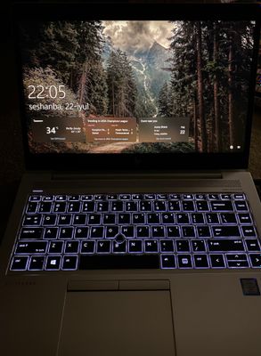 Hp elitebook 840 g6 ekran/14dyum 8/256