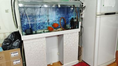 Аквариум сотилади баликсиз! Продается аквариум, без рибы! 500 000
