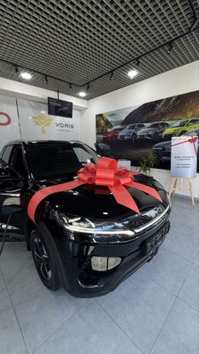 BYD YUAN UP 2024 год